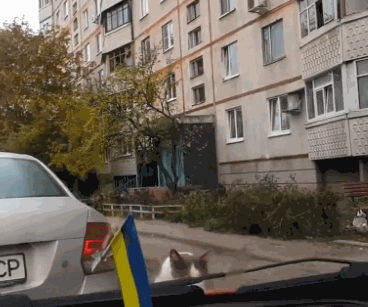 недокомментированная функция